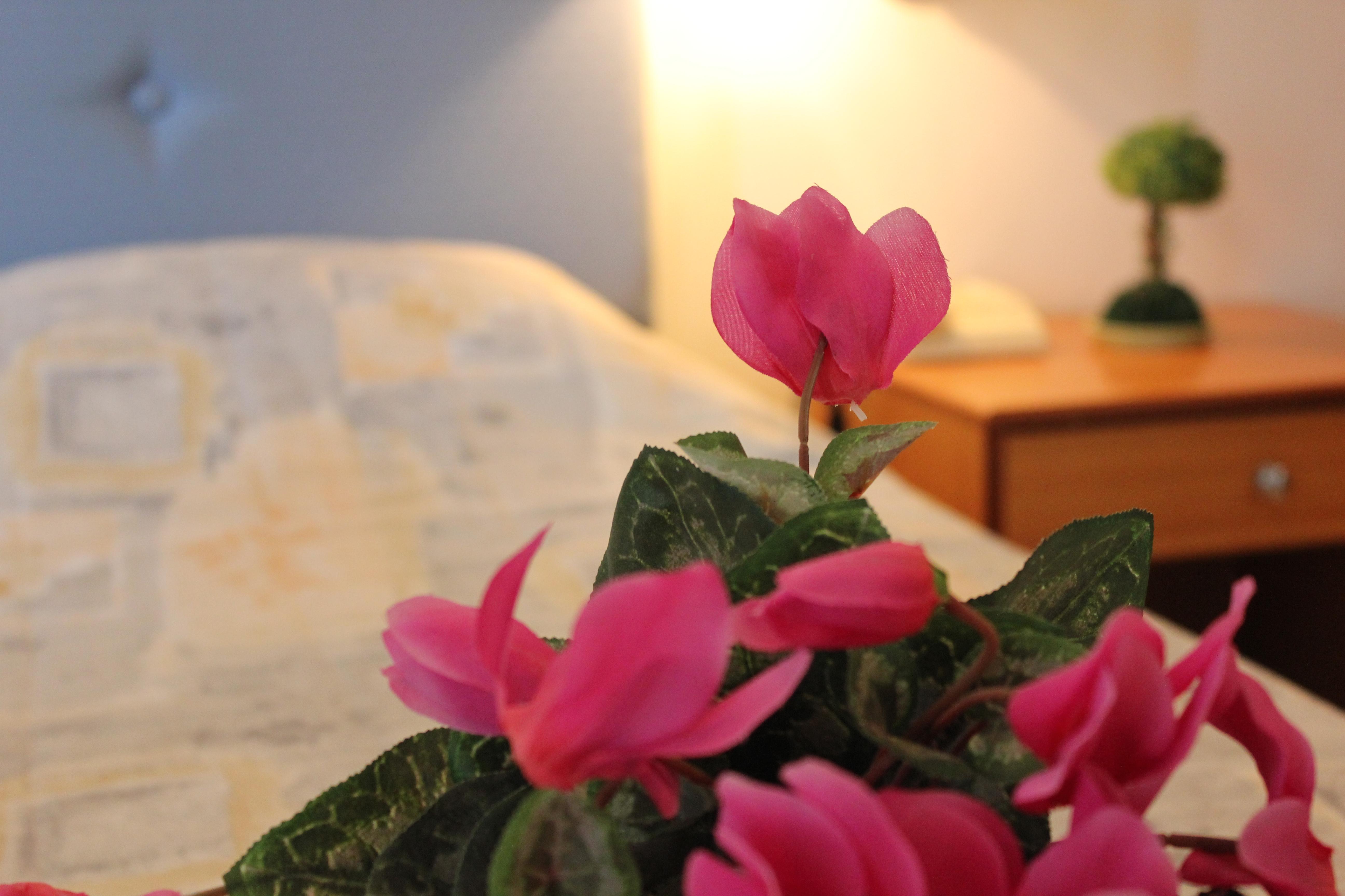 Filmar Hotel, Ixia, Rhodes Dış mekan fotoğraf